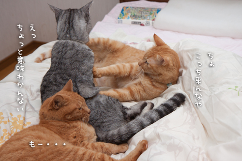 なんでこうなるかな_d0355333_17003204.jpg