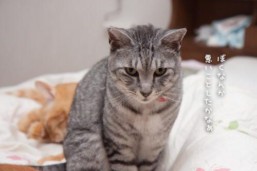 なんでこうなるかな_d0355333_17003391.jpg