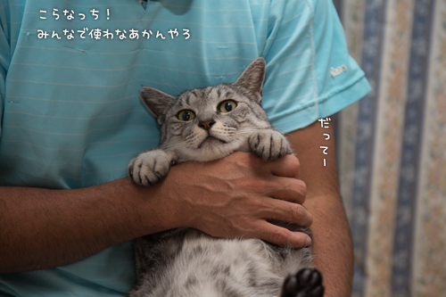 ももの箱_d0355333_17003853.jpg