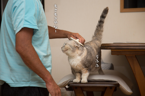 予測不能なお年頃。_d0355333_17004512.jpg