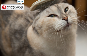 予測不能なお年頃。_d0355333_17004655.jpg