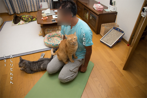 ストレッチマットの末路_d0355333_17005016.jpg