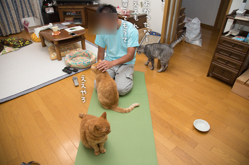 ストレッチマットの末路_d0355333_17005058.jpg