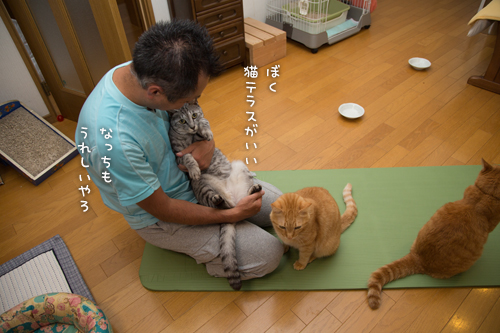 ストレッチマットの末路_d0355333_17005066.jpg