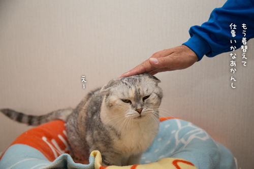 姫様はむつかしいお年頃_d0355333_17005943.jpg