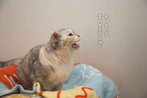 姫様はむつかしいお年頃_d0355333_17010046.jpg