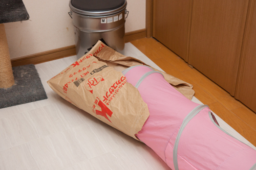 びりびり袋_d0355333_17010600.jpg
