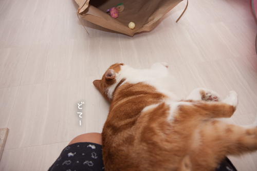 びりびり袋_d0355333_17010761.jpg