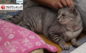 あまえんぼさんもーど_d0355333_17010914.jpg