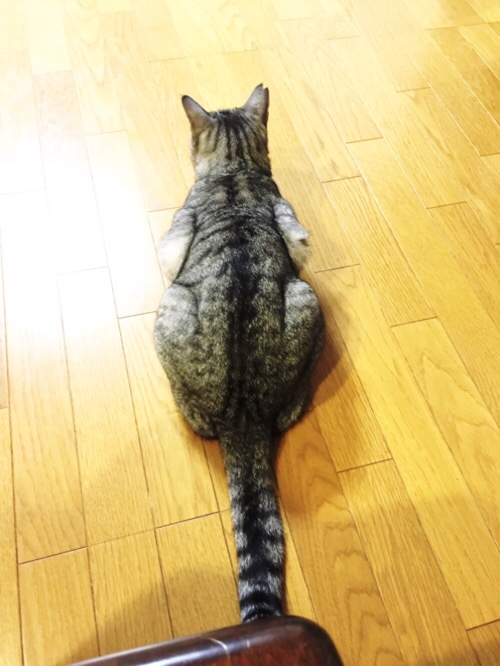 思い出すね_d0355333_17011018.jpg
