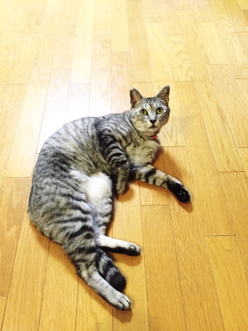 思い出すね_d0355333_17011082.jpg