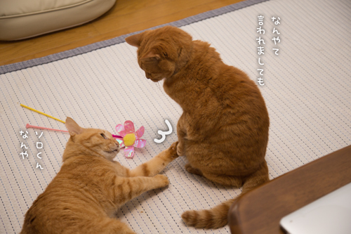 特に意味はない_d0355333_17011104.jpg