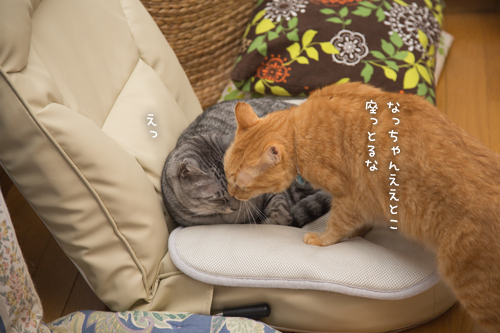 ジャイアンちゃとらん_d0355333_17011596.jpg