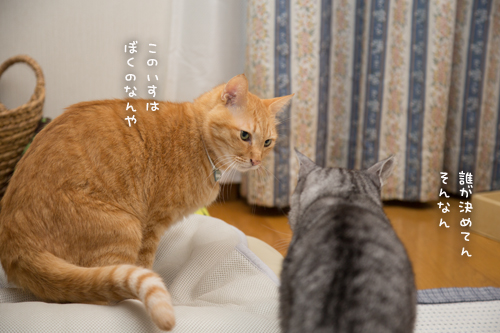 ジャイアンちゃとらん_d0355333_17011633.jpg