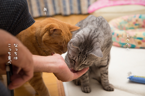 人気のまぐろ_d0355333_17012193.jpg