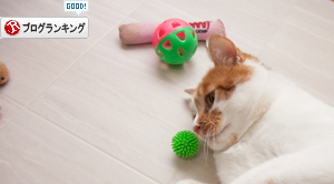 もうすぐお届けだよーっ_d0355333_17012900.jpg