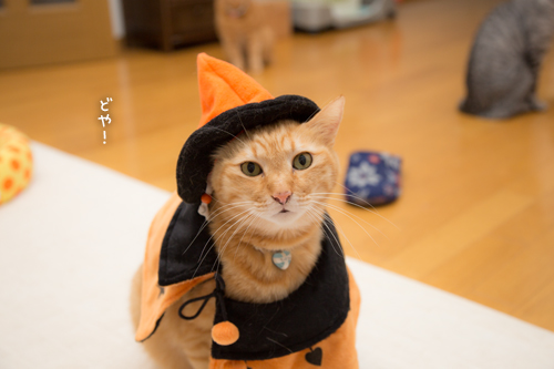 我が家のHappyハロウィン?!_d0355333_17013155.jpg