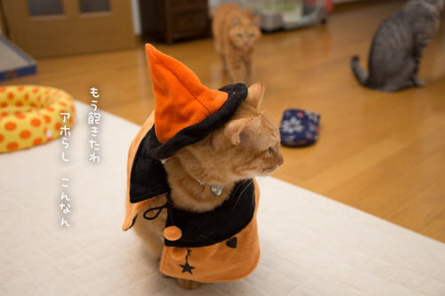 我が家のHappyハロウィン?!_d0355333_17013230.jpg