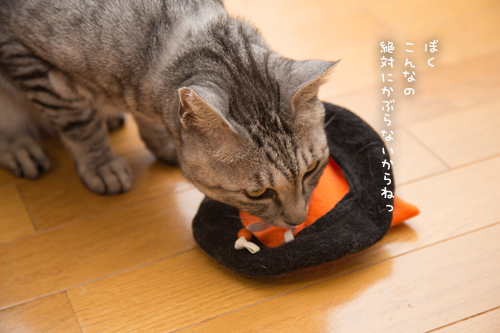 我が家のHappyハロウィン?!_d0355333_17013267.jpg