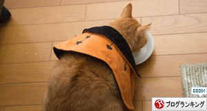 我が家のHappyハロウィン?!_d0355333_17013274.jpg