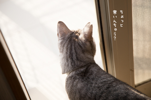 朝の日課_d0355333_17013592.jpg