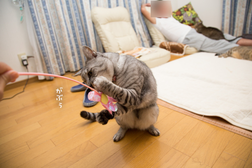 カレンダー作成秘話その2_d0355333_17014356.jpg
