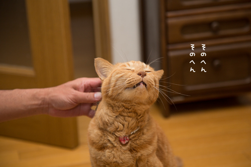じーじー。_d0355333_17014654.jpg