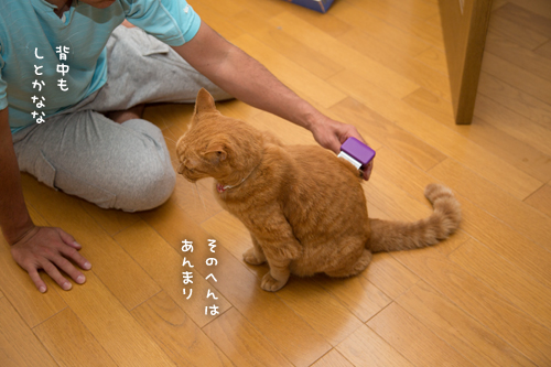 じーじー。_d0355333_17014735.jpg