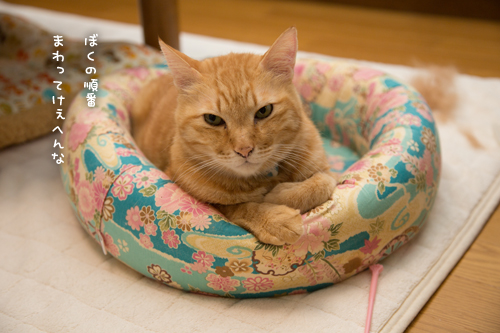 じーじー。_d0355333_17014759.jpg