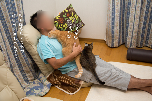 釣り番組を見ながら_d0355333_17014800.jpg