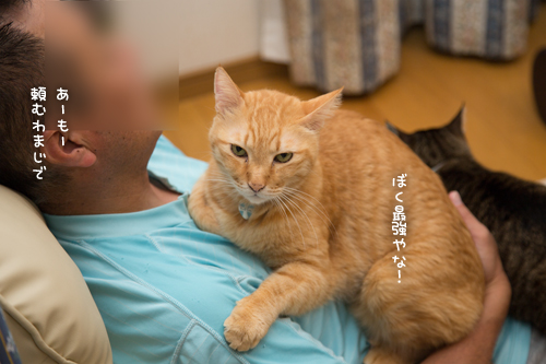 釣り番組を見ながら_d0355333_17014844.jpg