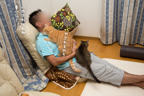 釣り番組を見ながら_d0355333_17014896.jpg