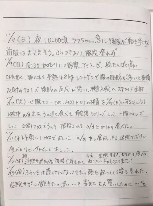 色々考えても仕方がないので_d0355333_17015163.jpg