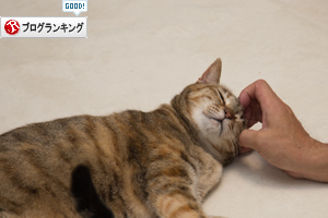 頑張ったよ_d0355333_17020182.jpg