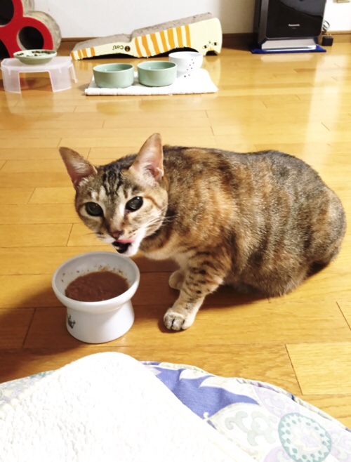 頑張ったよ_d0355333_17020491.jpg