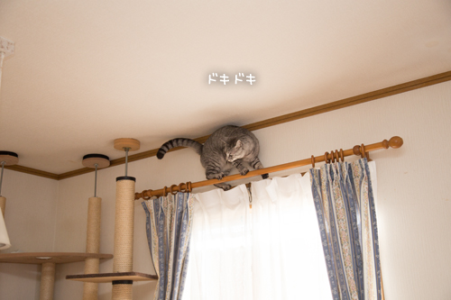 なっちゃん怒りのデスロード?_d0355333_17020910.jpg