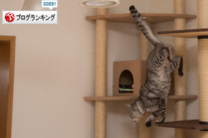 なっちゃん怒りのデスロード?_d0355333_17021039.jpg