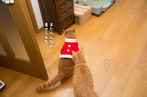 ソロくんサンタ裏話_d0355333_17021614.jpg
