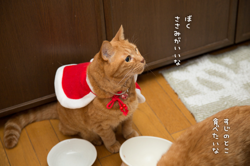 ソロくんサンタ裏話_d0355333_17021641.jpg