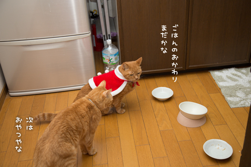 ソロくんサンタ裏話_d0355333_17021675.jpg