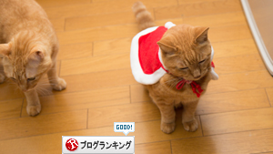ソロくんサンタ裏話_d0355333_17021686.jpg