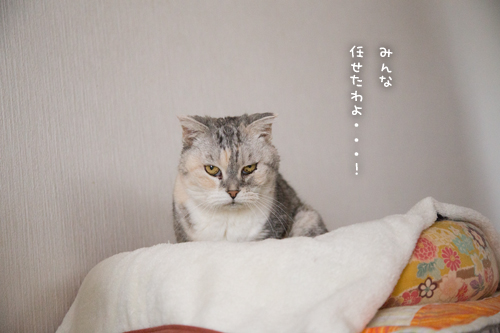 カレンダー封入作業にあたふた_d0355333_17021828.jpg