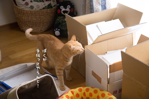 カレンダー封入作業にあたふた_d0355333_17021892.jpg