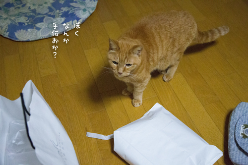 Gスイッチ_d0355333_17021920.jpg