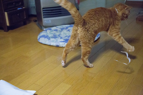 Gスイッチ_d0355333_17021981.jpg