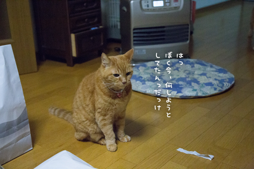 Gスイッチ_d0355333_17022067.jpg