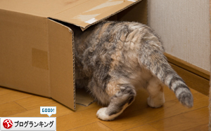 可愛い箱があるのに_d0355333_17022300.jpg