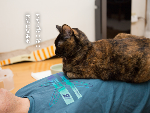りさの魔法。_d0355333_17022517.jpg