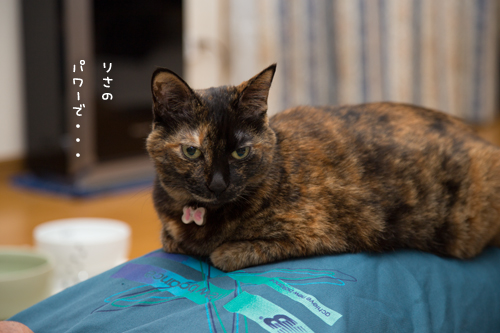 りさの魔法。_d0355333_17022543.jpg