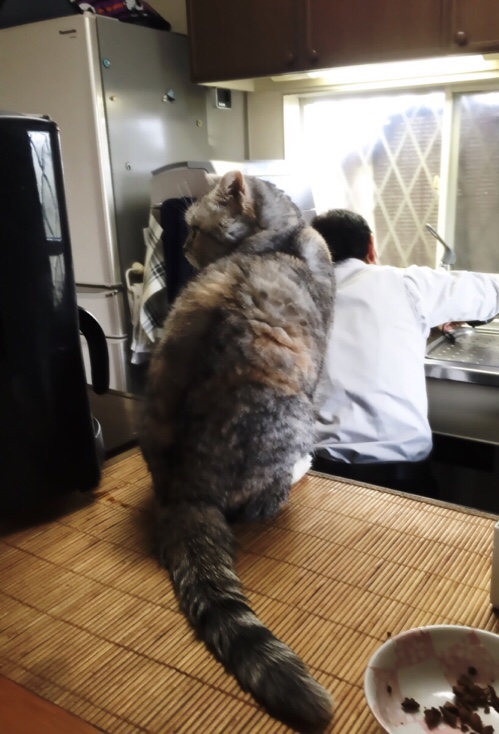 現場監督は忙しい_d0355333_17022761.jpg